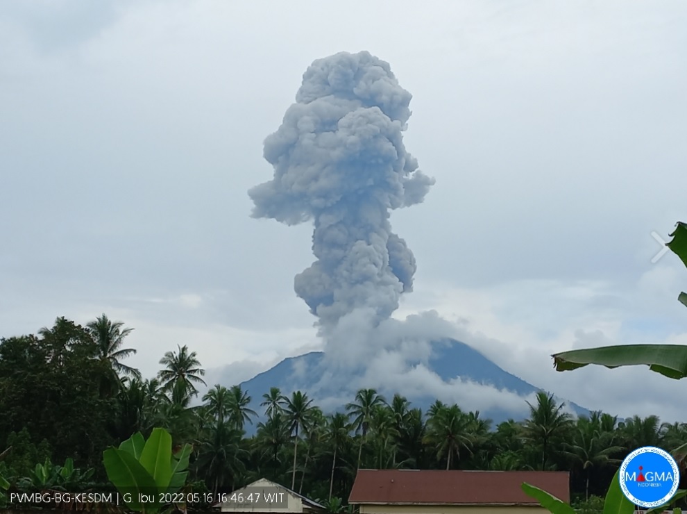 Ibu volcano (Halmahera, Indonesia): sudden large eruption today