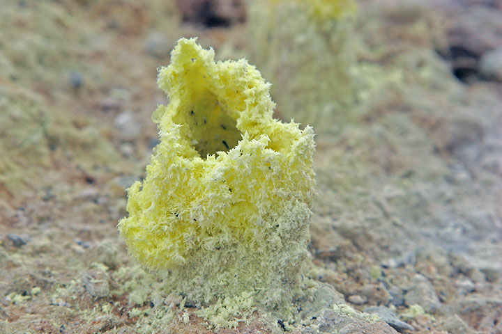 Photo of the Day: Fragile chimneys made from sulphur on the ground.